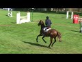 Quir Royal Liniere
