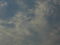 SHK - Maiden Flight