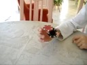 Poker jetons Chip Tricks