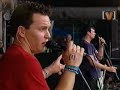 All the small things live in concert(blink 182)