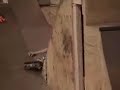 Nut crunch number 2 Nut crunch number 2