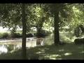 Relax By The Stream for 2 mins