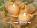 زيديني عشقا زيديني يا حبيبتي