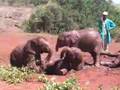 View Video