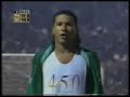 Palmeiras Eternamente!