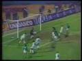 Palmeiras Eternamente!