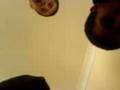 videos de Mc murphy, turbo mc, josh mc sik tune .3gp