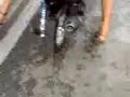 pasola en r.d yimmy
