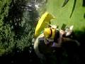 videos de Boy in scary hurricane