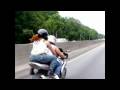 MISS BEHAVED RIDERZ
