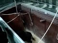 Apartado corrida toros 080807 Vitoria-Gasteiz