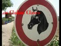 Escuela de equitaci�n DELVIC - ELCHE