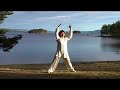 Taiji Shen Gong - Li Jing #1