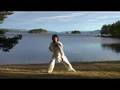 Taiji Shen Gong - Li Jing #1