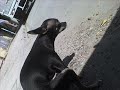 Eri tocando 2 !