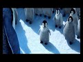 Tamil Happy Feet - Paruthiveeran Song