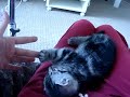 finger to finger finger to finger