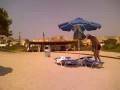 videos de spiaggia