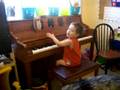 Cougar Playing The Piano 02