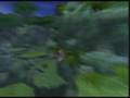 Let's Play Jak and Daxter - The Forbidden Jungle - Part 2/3