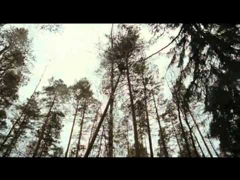 kraj - Sinopsis: un film de acción ambientado en la Siberia de 1945, donde Ignat (Vladimir Mashkov), antiguo héroe soviético llega a una pequeña y curiosa localidad...