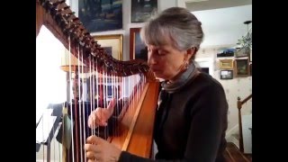 Week 5, with Week 3 composition; Carolan Wannabe
