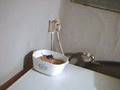 videos de Muis aan vogeleten DEEL1