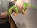 Pleo: The Smartest Robot Pet - ROBORAMA.info