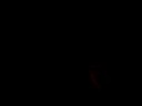 Sonorama, enajenación nocturna I