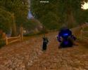 Bad Voidwalker!