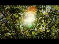 Graham Coxon - In The Morning (music video)