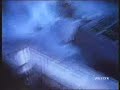 Lynx Anti-Fur Commercial