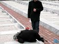 sivas ?ehitler sivas ?ehitler