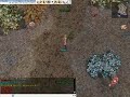 Ragnarok Online kRo Ninja Demonstration 5