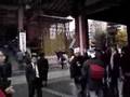 Tokyo Swan 16: Asakusa
