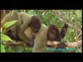 Petrobras Ambiental - 60 Sec