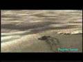 Petrobras Ambiental - 60 Sec