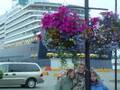 The Oosterdam Ship & 1 Night in Victoria Canada