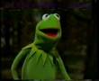 Kermit-It's Not Easy Being Green