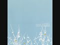 The Shins – New Slang
