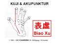 Kuji In -- Meridiane der Hand - Dr. Wolfgang J. Schneider