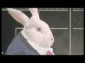 Rabbit Test Film