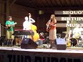 robinella and her band formerly known as robinella & the cc string band hail from east tennessee and have about 4 cd's.  they mix country, bluegrass, jazz together that blend into their own sound.  the highlight of this bands sound is the unique voice of robin herself.  visit their website - http://www.robinella.com - for tour dates, their merchandise etc etc.