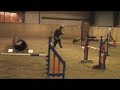 Bryer - 14 Months agility competition night