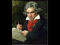 Beethoven: Triple Concerto in C-dur -  Rondo alla polacca 5/5