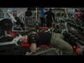 Flat Dumbbell Press