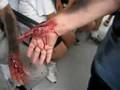 wounds made for Orlando AMTS exercise called: Beta Fish