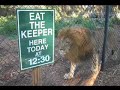 The Dacrons do Naples, Florida (part 7 of 10)