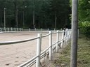 Carins M�hippa