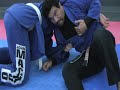 Brazilian Jiu Jitsu GYM in Los Angeles! Brazilian Jiu Jitsu GYM in Los Angeles!